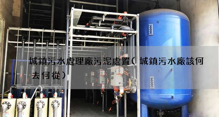 城鎮污水處理廠污泥處置(城鎮污水廠該何去何從)